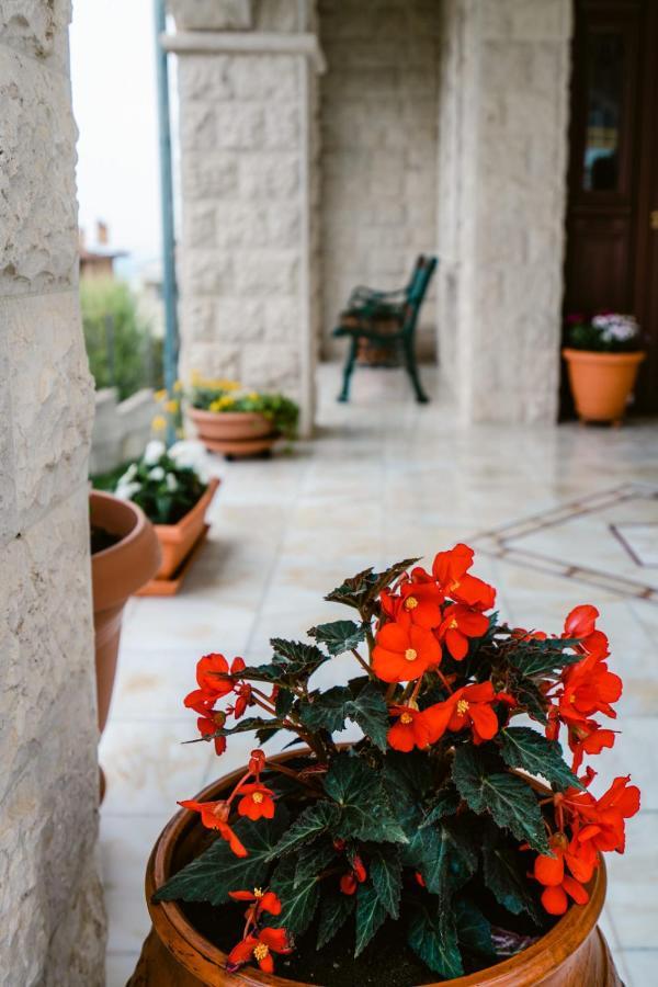 Veria Panorama Luxury Suite With Garden. Exterior foto